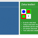 Ekran Alıntısı