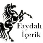 logo11