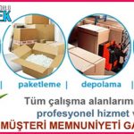 kelebeknakliyat