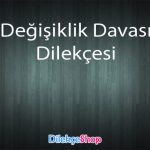Değişiklik-Davası-Dilekçesi-653×430