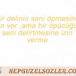 wpid-guzel-ask-sozleri-bir-delinin-seni-opmesine