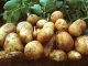 Patates Diyeti Nedir? 12 Maddede Patates Yoğurt Diyeti Nasıl Yapılır?