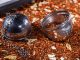 Rooibos Çayı: Kalbi Korur ve Kanserle Savaşır!