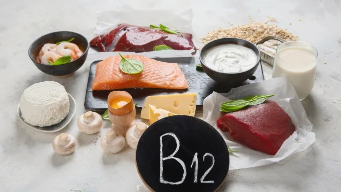b12 (1)